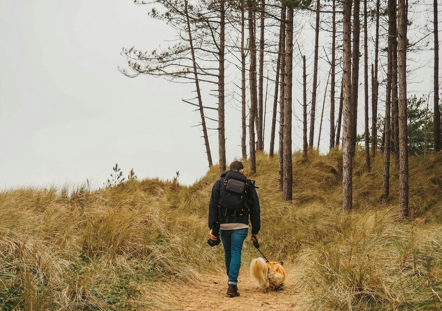 In depth Jackery Explorer 300 Review : Don't Buy The Jackery Explorer 300 Before Reading This ! 8 In-Depth Jackery Explorer 300 Review : Don't Buy the Jackery Explorer 300 Before Reading This !